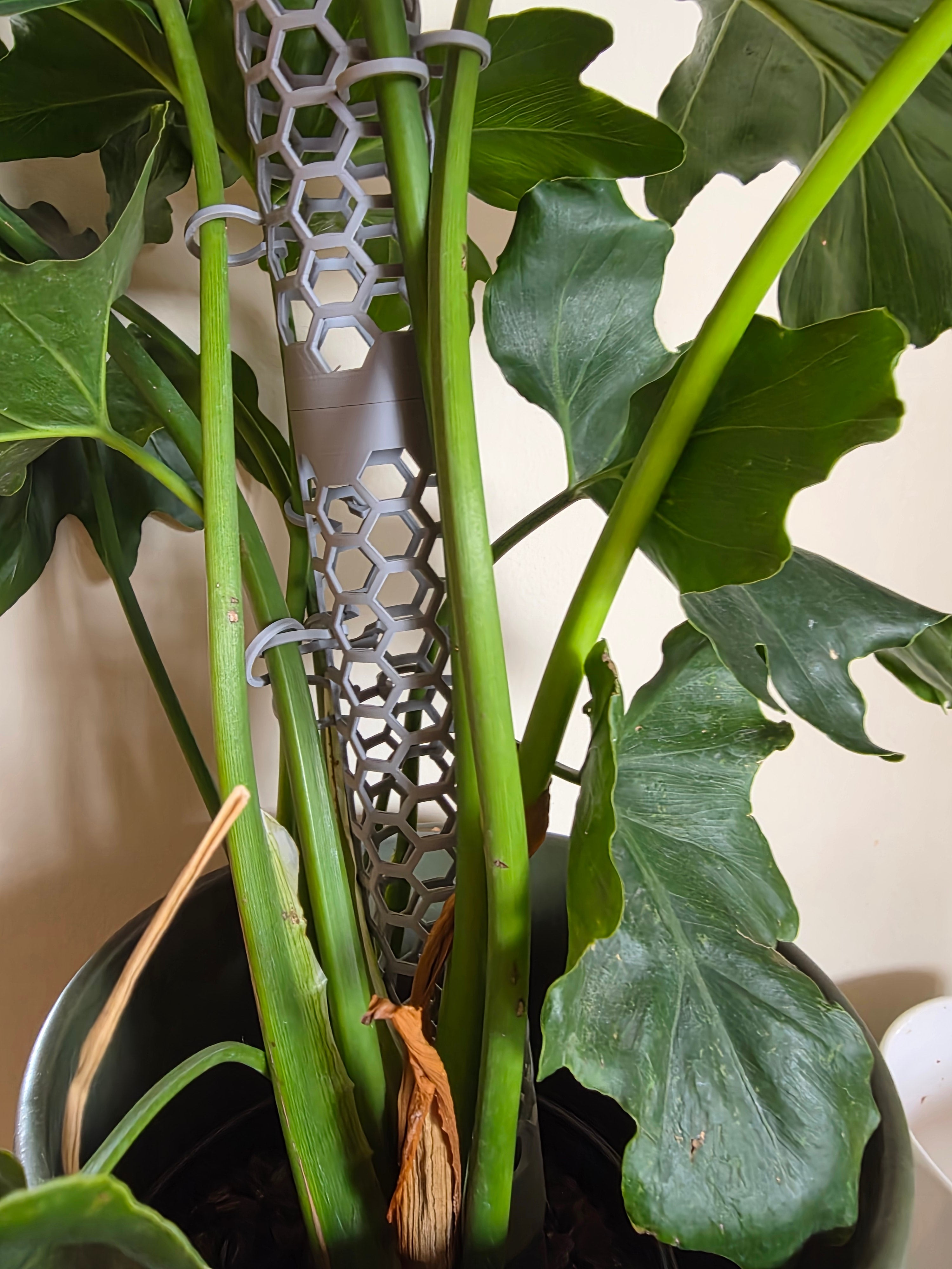 Tutor para plantas